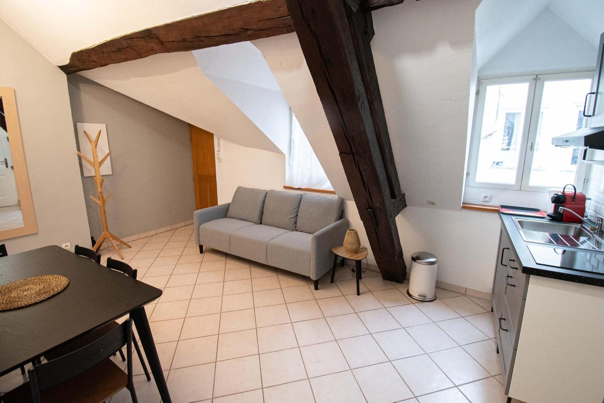 Residence Le Zola Compose De 3 Appartements Distincts En Hyper Centre De Dijon Avec Wifi Eksteriør billede