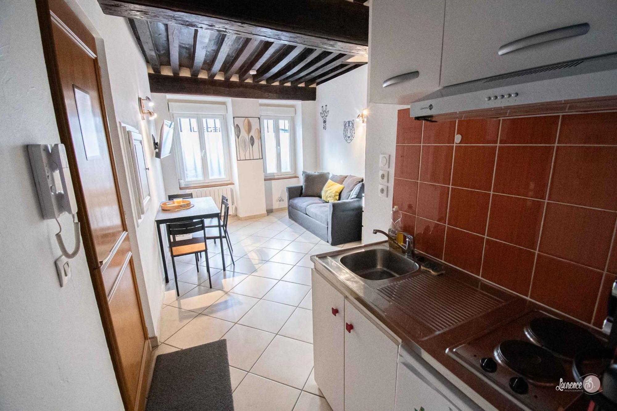 Residence Le Zola Compose De 3 Appartements Distincts En Hyper Centre De Dijon Avec Wifi Eksteriør billede